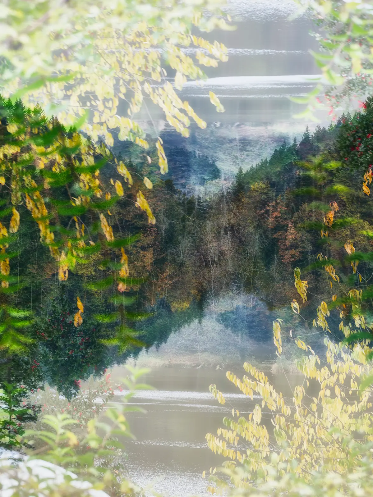 Autumn by the Lake