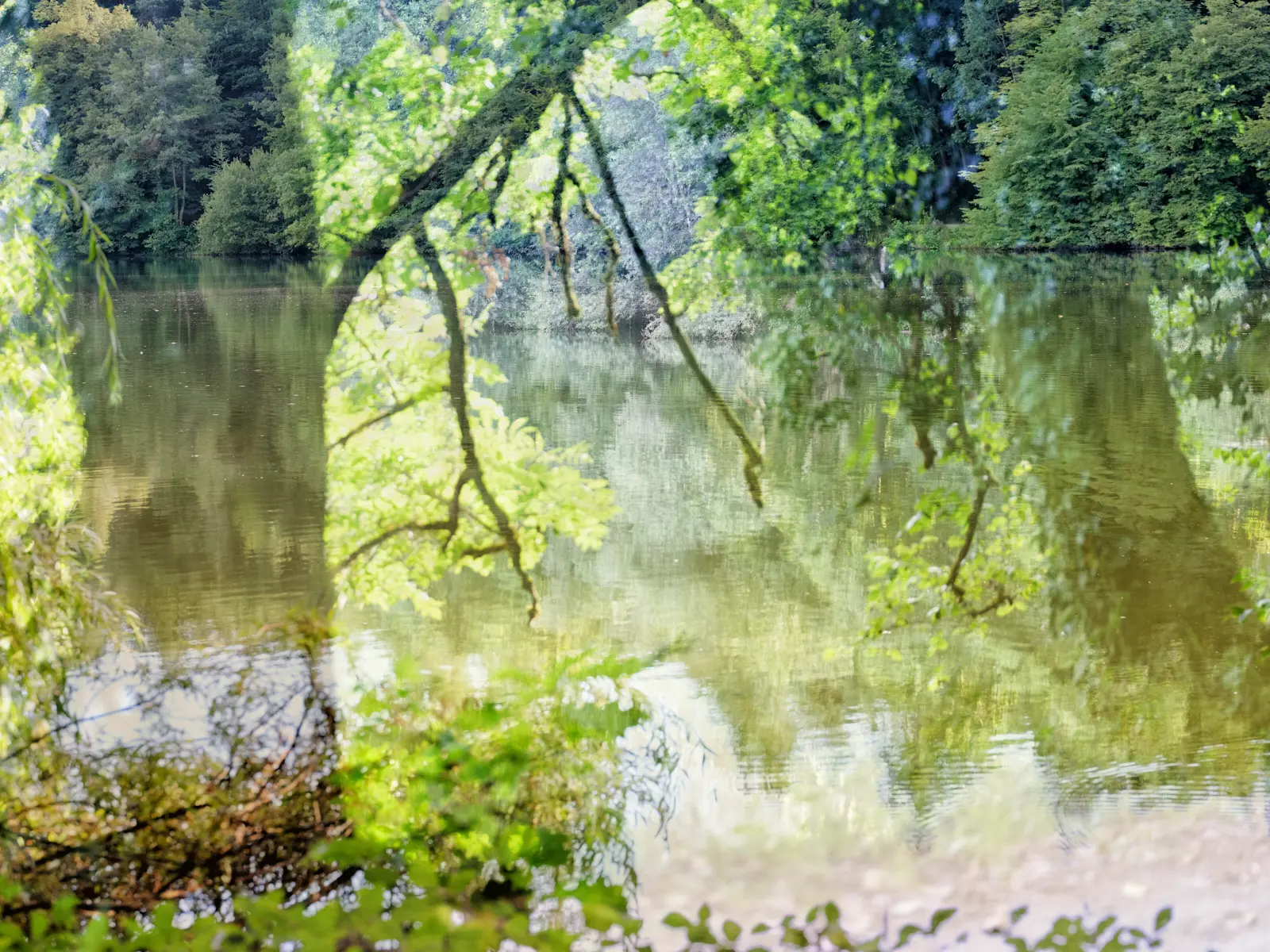 Bergsee
