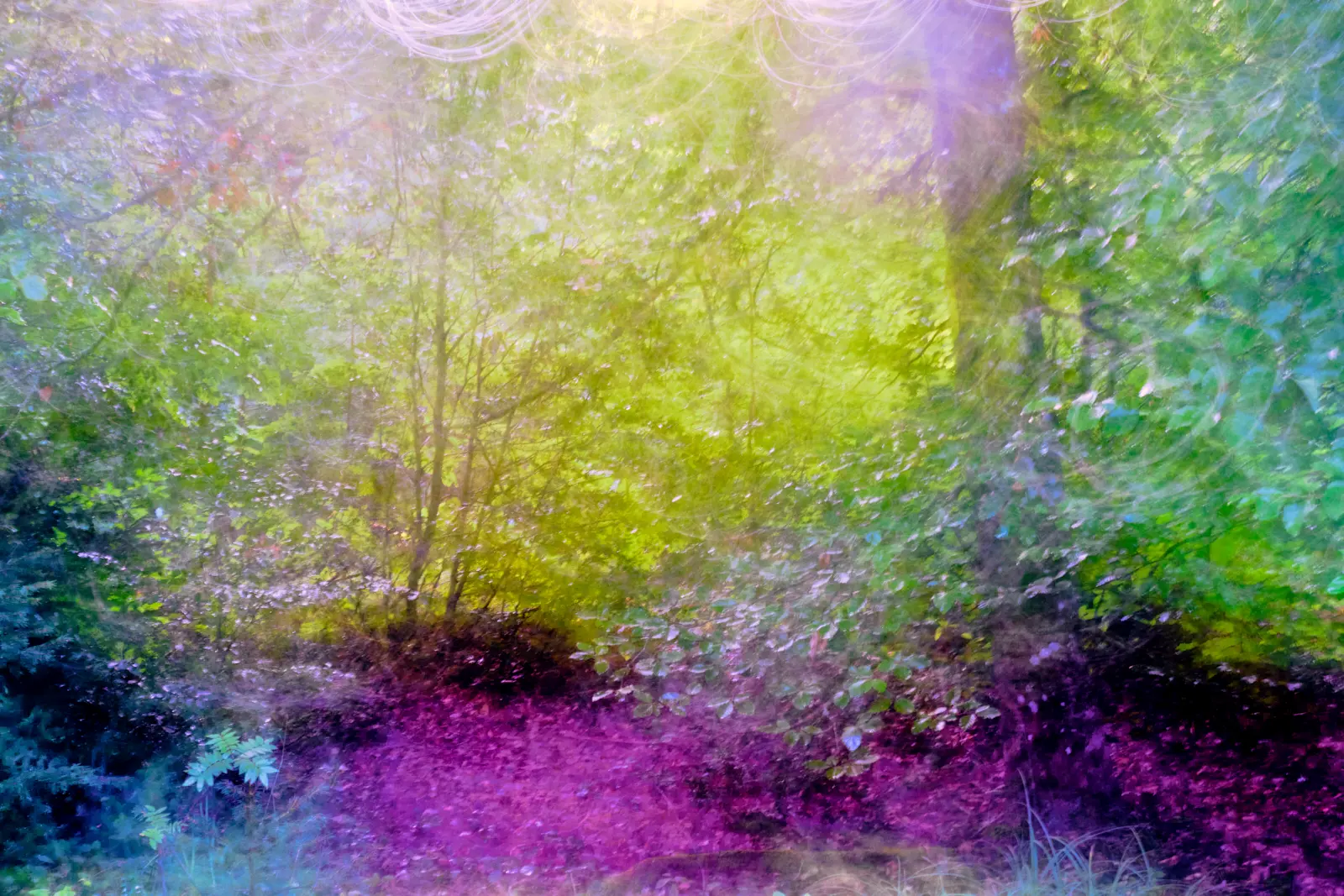 Dance of Light