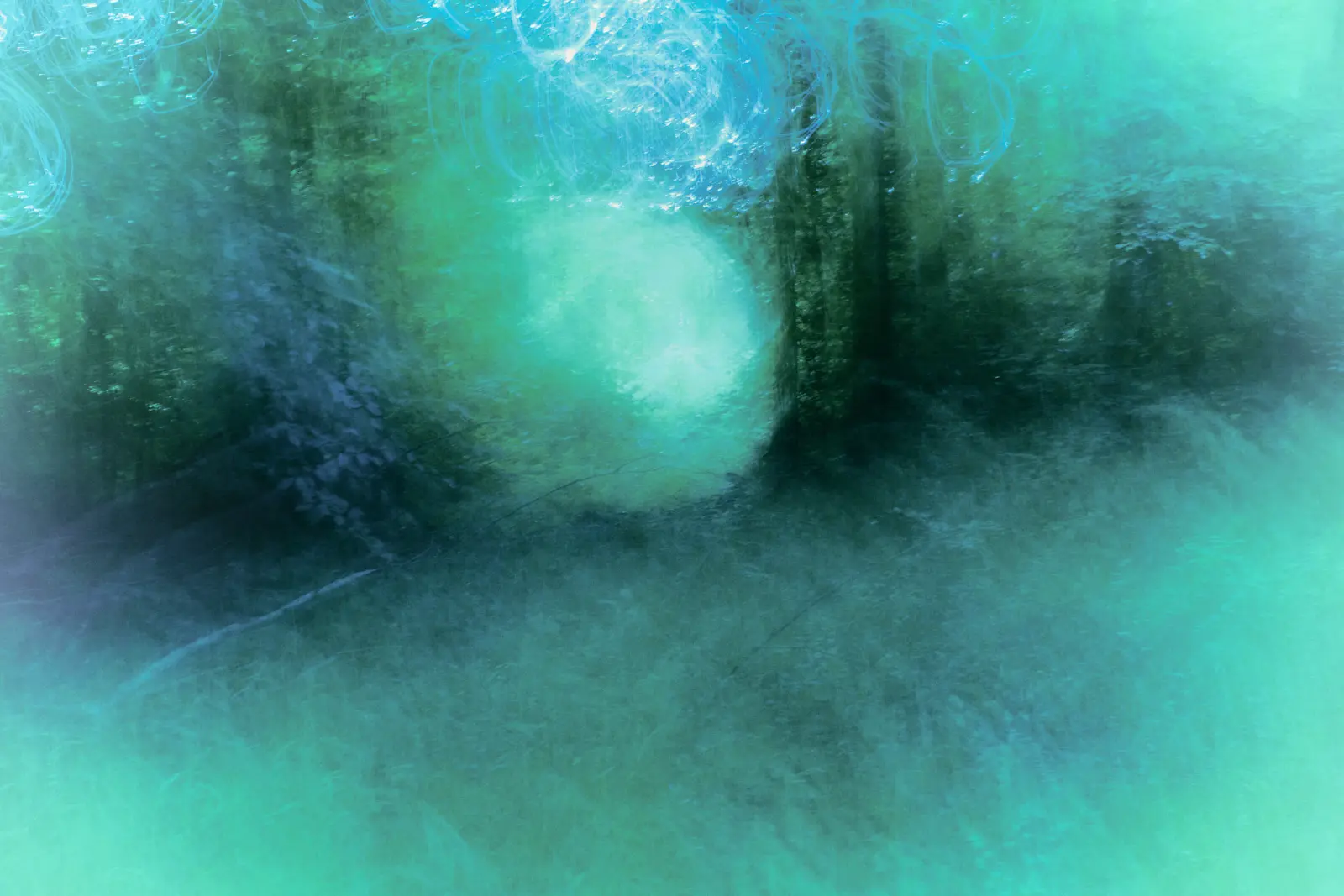 Silent Woods