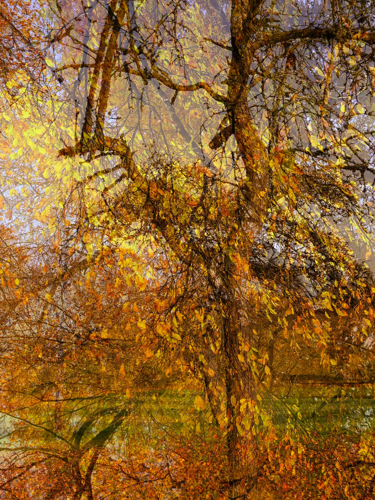 The Glow of Autumn