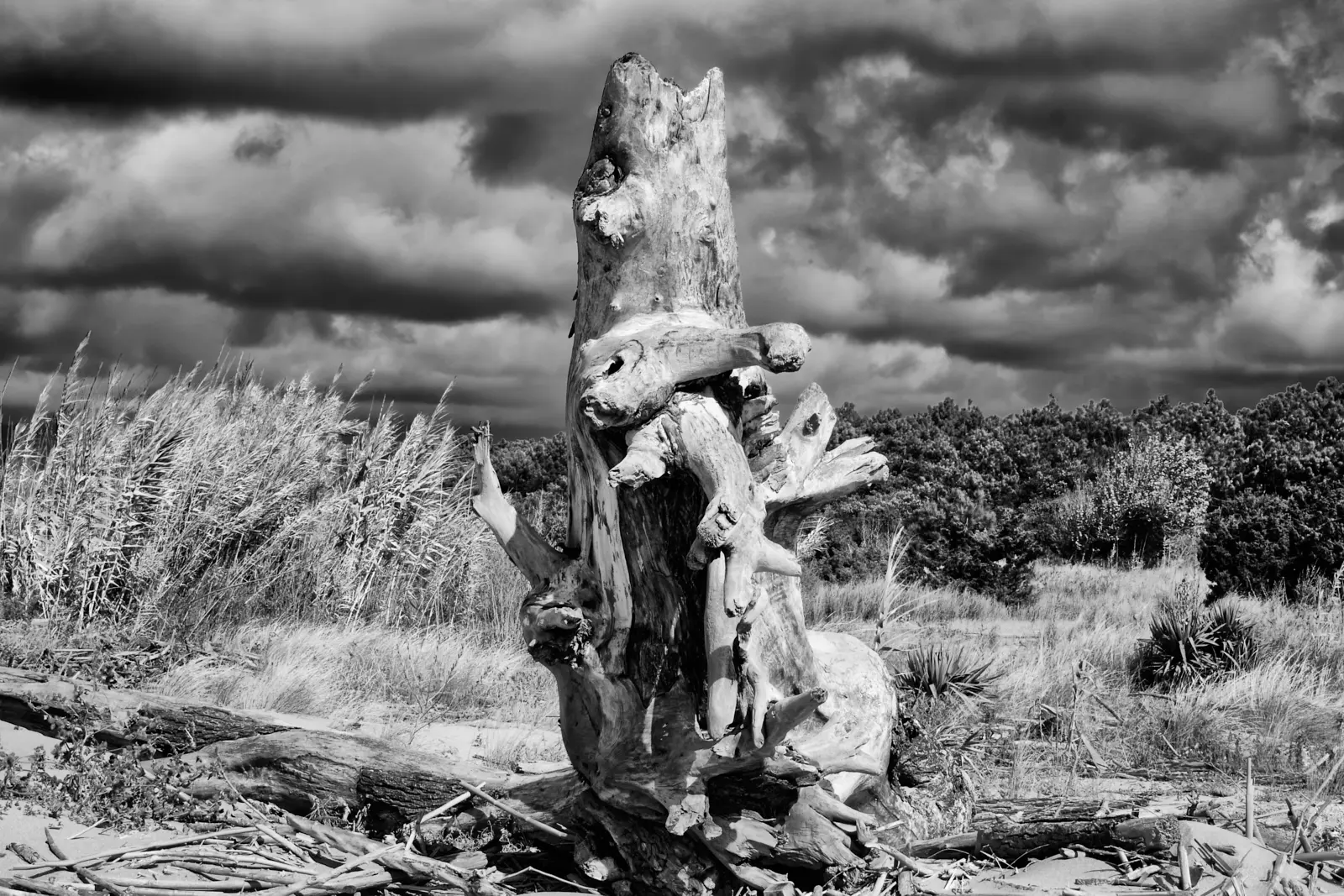 Romy-Pfeifer_The-Guard