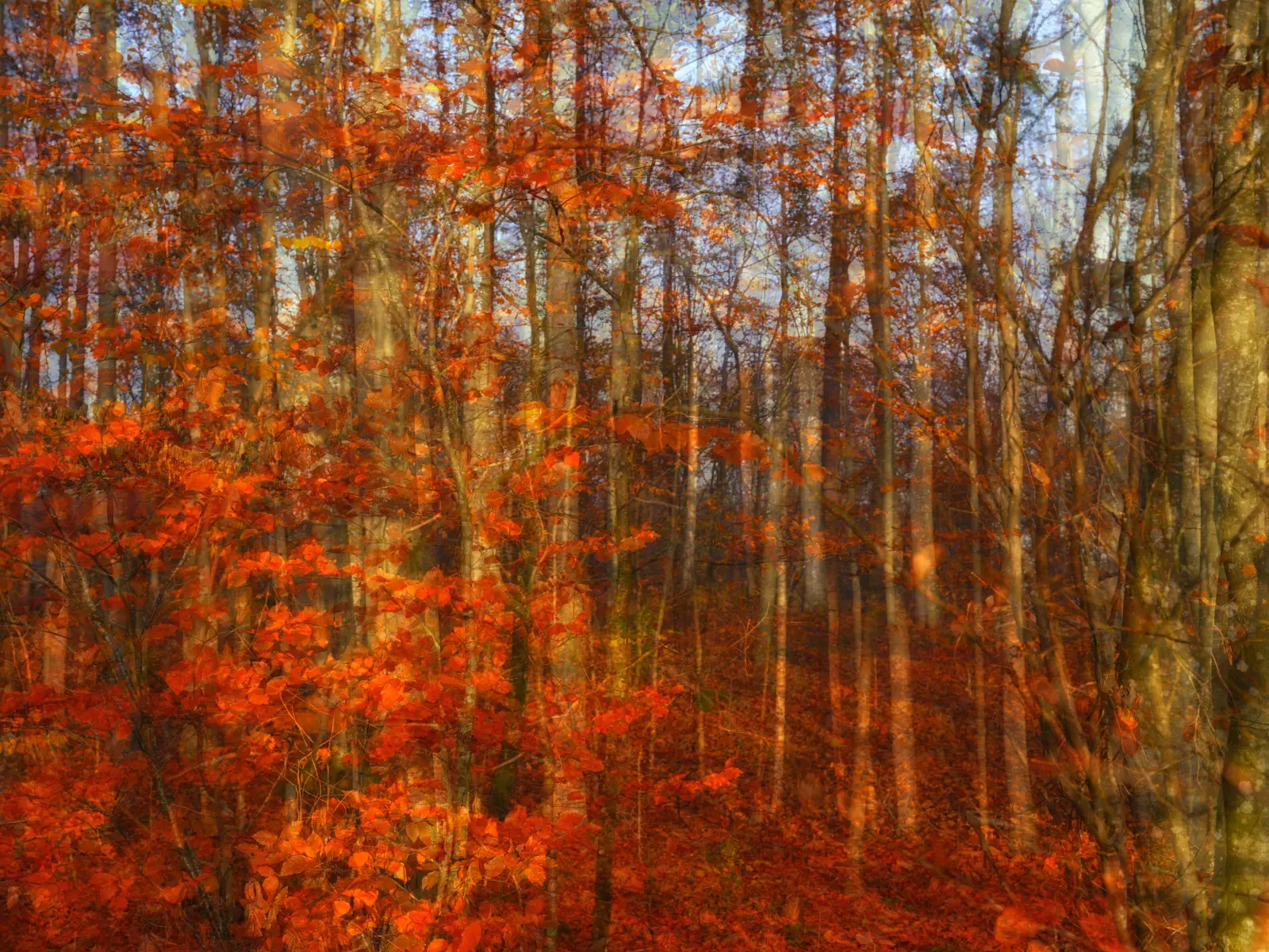 The Glow of Spring