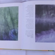 artideal-2