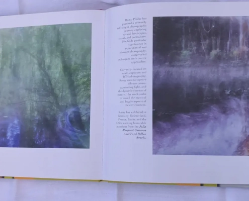 artideal-2