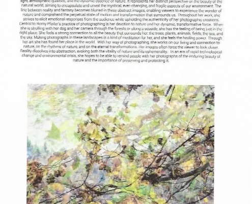 collectors-art-prize-2