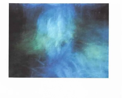 collectors-art-prize-3